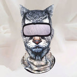 Black cat